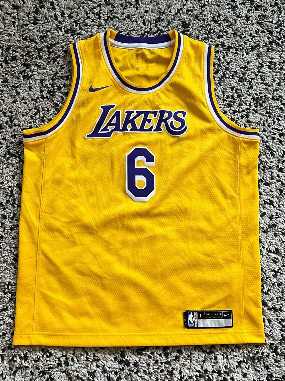 Nike Swingman Youth Lebron James Lakers Jersey #6 Yellow Size 14/16
